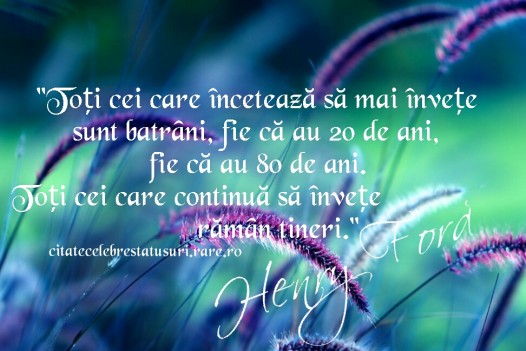 Toti cei care inceteaza sa mai invete foto