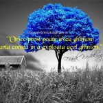 Orice prost poate avea ghinion