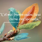 Cel mai frumos cadou