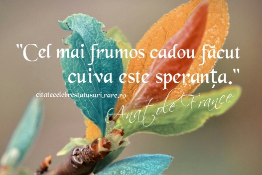 Cel mai frumos cadou