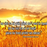Sa nu zici ca ai grau pana nu-l vezi in hambar