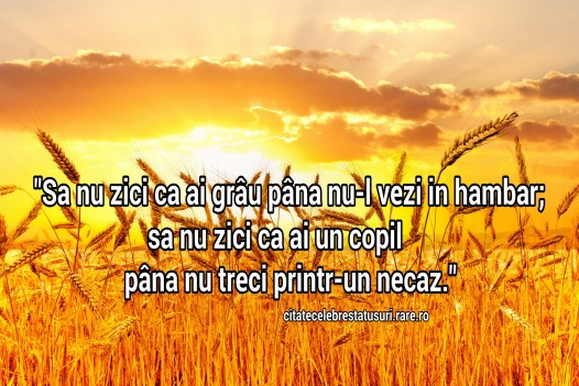 Sa nu zici ca ai grau pana nu-l vezi in hambar