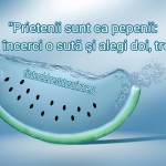 Prietenii sunt ca pepenii