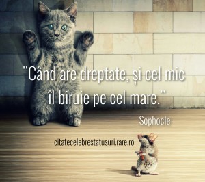 Cand are dreptate si cel mic il biruie pe cel mare