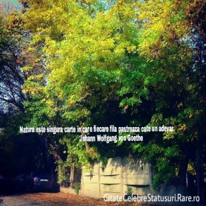 Natura este s