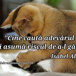 Cine cauta adevarul