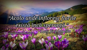 Acolo unde infloresc florile exista inca speranta