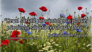 cerul saruta pamantul prin ploaie